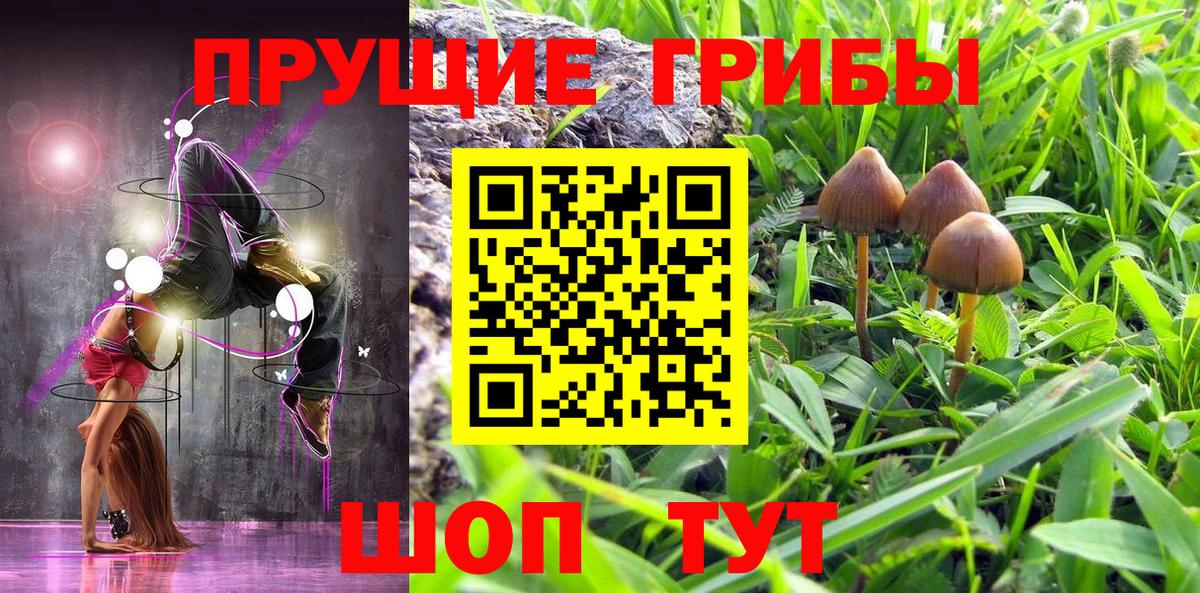 Псилоцибиновые грибы Psilocybine cubensis Корсаков