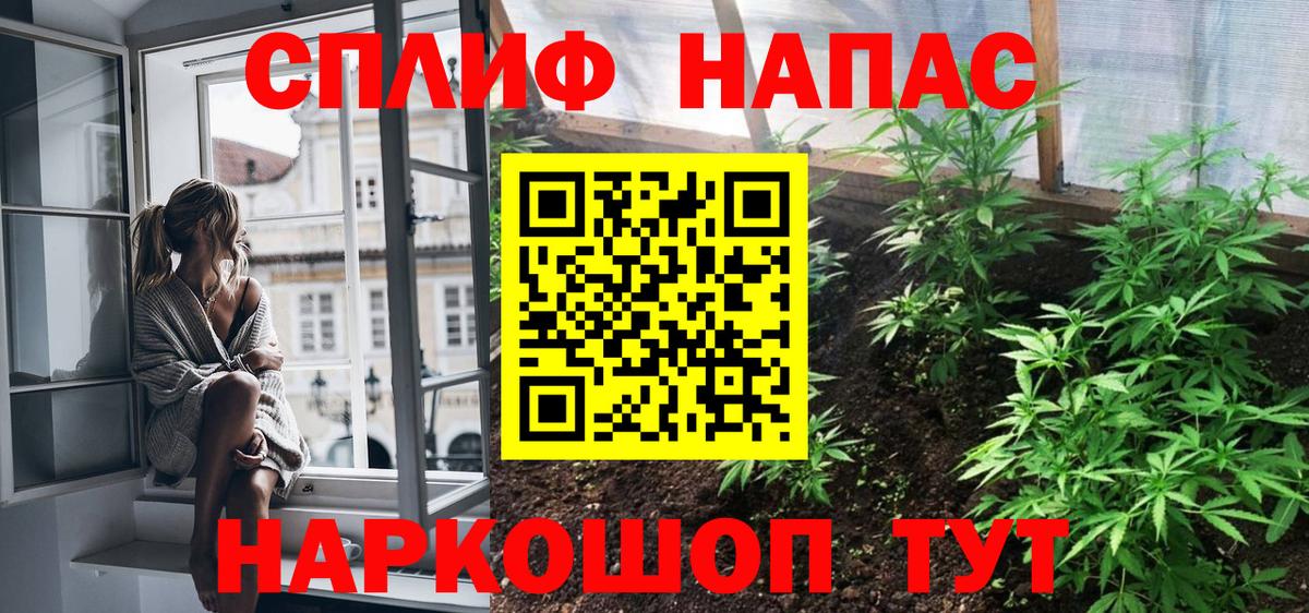 МАРИХУАНА сатива Корсаков